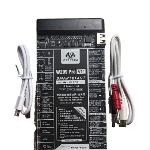 W209 pro v11 - v11, scheda